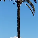 Seaview Citycenter Curabeach 50m Daire Torrevieja
