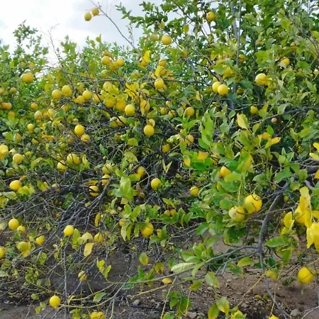 Seaview Torrevieja Citycenter Curabeach 50M Apartment Torrevieja