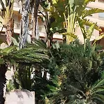 Seaview Citycenter Curabeach 50m * Τορεβιέχα