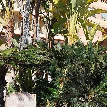 Seaview Citycenter Curabeach 50m * Torrevieja