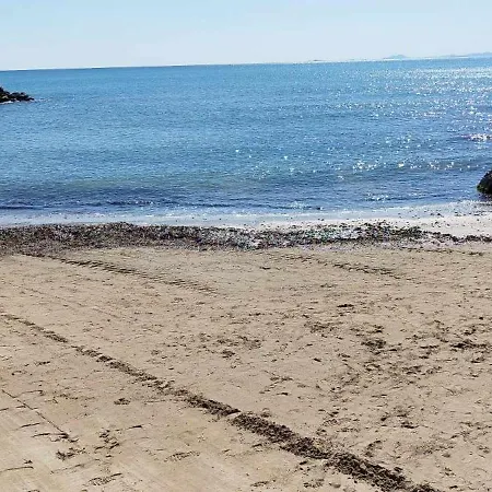 Lägenhet Seaview Torrevieja Citycenter Curabeach 50M Apartment Torrevieja