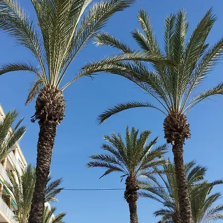 Seaview Playa Del Cura 50m Citycentre * Torrevieja