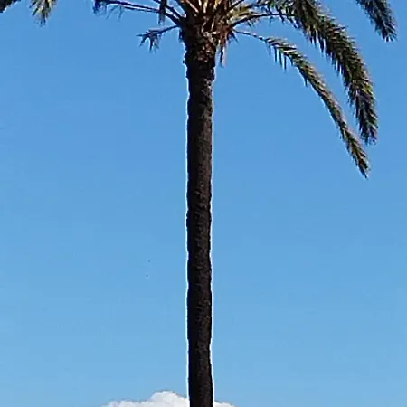 Seaview Torrevieja Citycenter Curabeach 50M Apartment Lägenhet Torrevieja