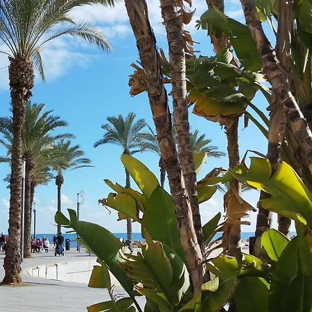 Seaview Playa Del Cura 50m Citycentre Torrevieja