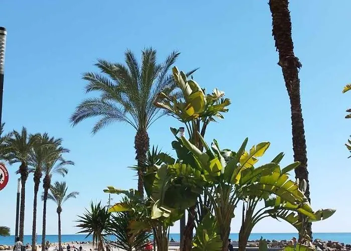 Seaview Citycenter Curabeach 50m *