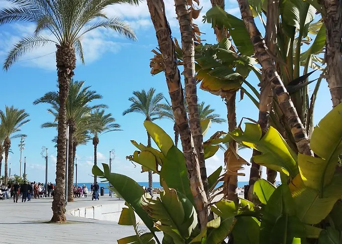 Seaview Citycenter Curabeach 50m Torrevieja