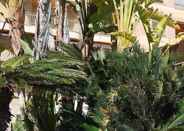 Seaview Citycenter Curabeach 50m * Torrevieja