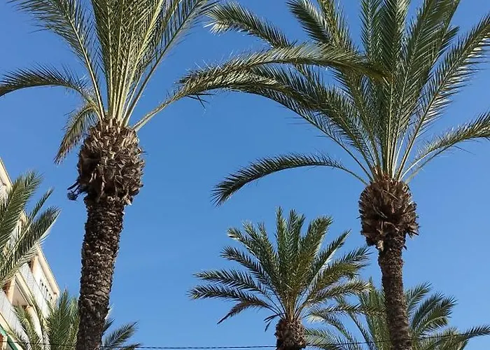 Seaview Citycenter Curabeach 50m * Torrevieja